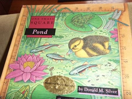 Pond