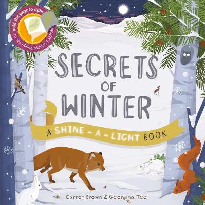 Shine a Light: Secrets of Winter: A shine-a-light book
