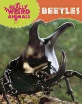 Really Weird Animals: Beetles