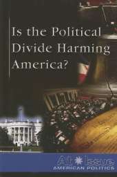 Is the Political Divide Harming America?