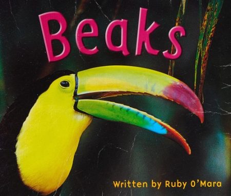 Beaks/Gear/SC