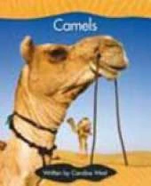 Camels