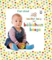 Leabhar Beag nam Beibidhean Beaga