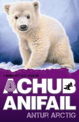 Antur Arctig