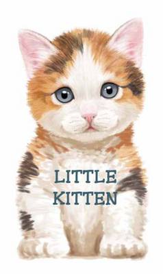 Little Kitten: Look at Me Books