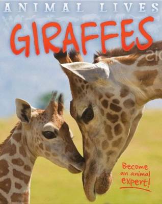 Animal Lives: Giraffes