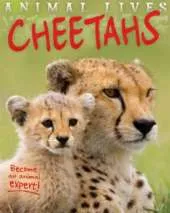 Animal Lives: Cheetahs