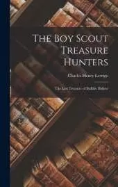 The Boy Scout Treasure Hunters: The Lost Treasure of Buffalo Hollow