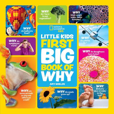 Little Kids First Big Book of Why: Fact-Filled Fun Book with Questions and Answers About Everything