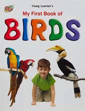 My First Book of Birds