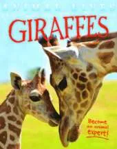 Animal Lives: Giraffes