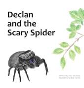Declan and the Scary Spider