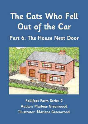 The Cats Who Fell Out of the Car