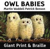 Owl Babies