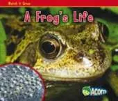A Frog's Life