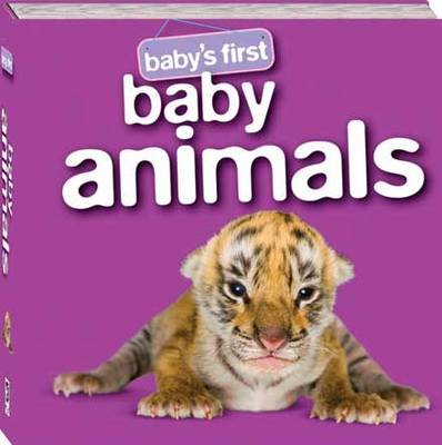Baby Animals