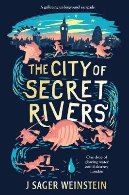 The City of Secret Rivers