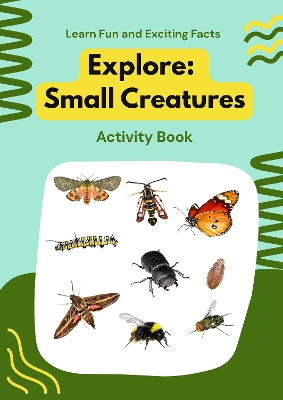 Minibeast Explorers: Learn Fun and Exciting Facts
