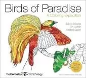 Birds of Paradise – A Coloring Expedition
