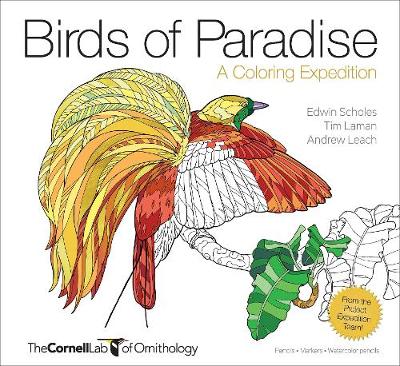 Birds of Paradise – A Coloring Expedition