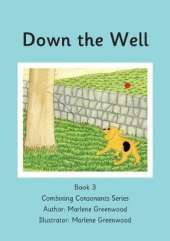 Down the Well