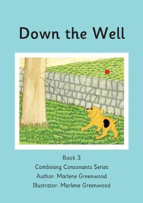 Down the Well