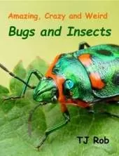 Amazing, Crazy and Weird Bugs and Insects: (Age 6 and Above)