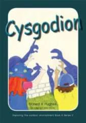 Cysgodion: Archwilio'r arngylchedd awyr agored yn y Cyfnod Sylfaen