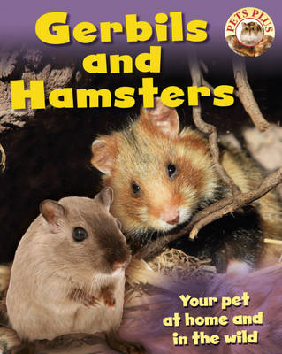 Pets Plus: Gerbils and Hamsters