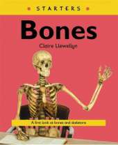Bones