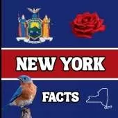 New York Facts: Interesting Facts About New York