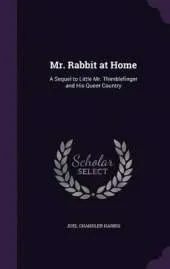 Mr. Rabbit at Home: A Sequel to Little Mr. Thimblefinger and His Queer Country