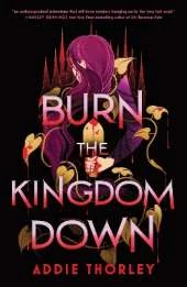 Burn the Kingdom Down: A Young Adult Enemies to Lovers Romantasy