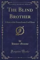 The Blind Brother: A Story of the Pennsylvania Coal Mines (Classic Reprint)