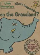 What's Happening on the Grassland?