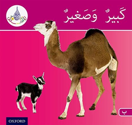 The Arabic Club Readers: Pink B Band:: Big And Small (Pack of 6)
