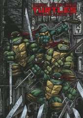 Teenage Mutant Ninja Turtles: The Ultimate Collection Volume 5