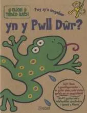 Pwy Sy'n Mwynhau Yn Y Pwll Dwr?