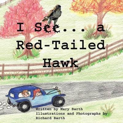 I See ... a Red-Tail Hawked