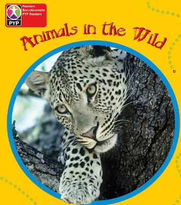 PYP L1 Animals in the Wild single