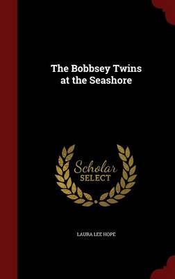 The Bobbsey Twins at the Seashore