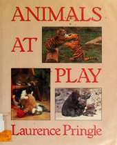 Animals at Play
