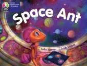 PYP L2 Space Ant single