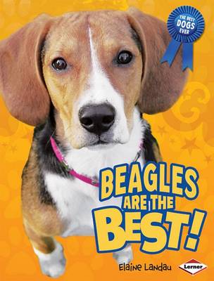 Beagles Are the Best!