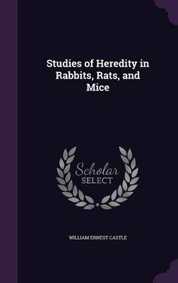Studies of Heredity in Rabbits, Rats, and Mice
