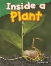 Inside a Plant
