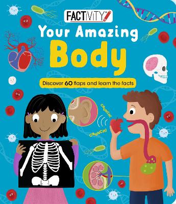 Factivity Your Amazing Body: Discover 70 Flaps and 100+ Facts