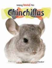 Chinchillas