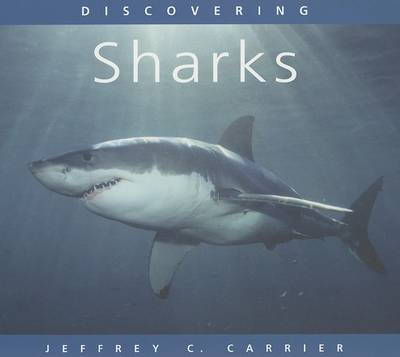 Discovering Sharks