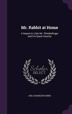Mr. Rabbit at Home: A Sequel to Little Mr. Thimblefinger and His Queer Country